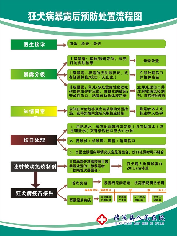 诊疗流程图.jpg