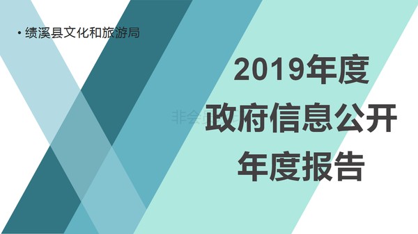 政务信息公开PPT_01.png