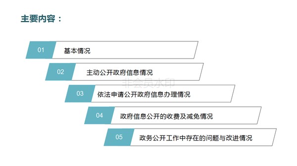 政务信息公开PPT_02.png
