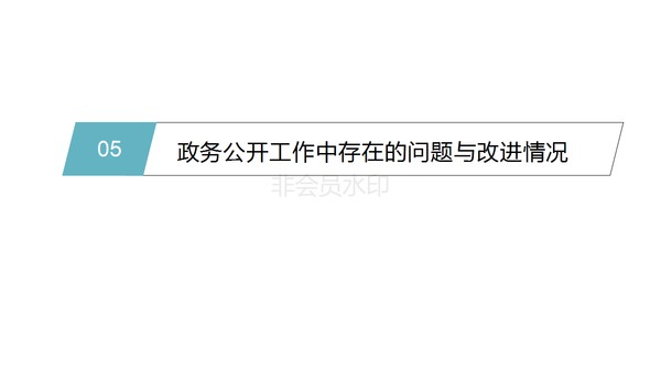 政务信息公开PPT_15.png