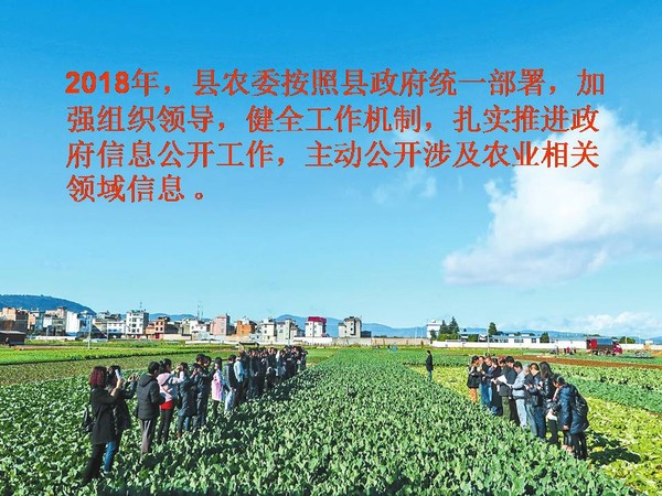 幻灯片2.JPG