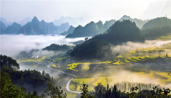 尚村景区（AAA）