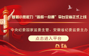 基层小微权力“监督一点通”